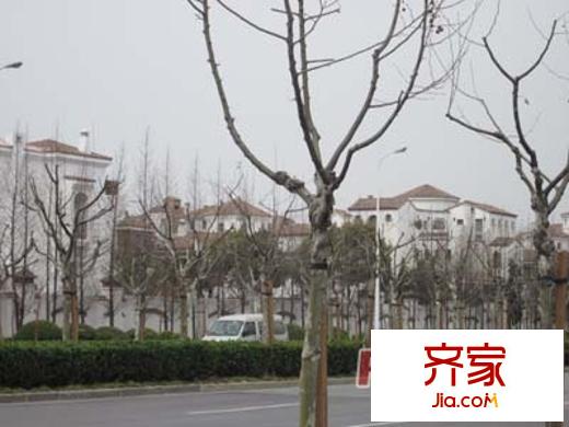 維詩凱亞別墅外景圖上海  