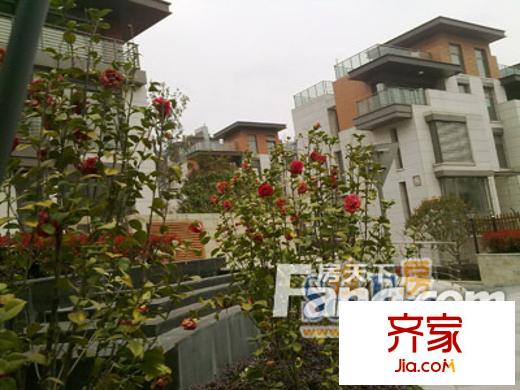 鹏欣一品漫城外景图