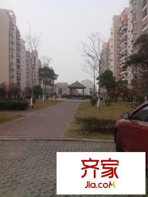滨浦一村外景图