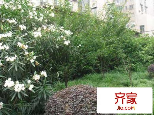 羅山六村外景圖  