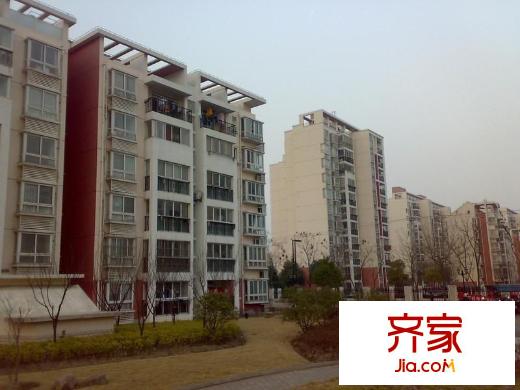 滨浦新苑三村外景图滨浦新苑