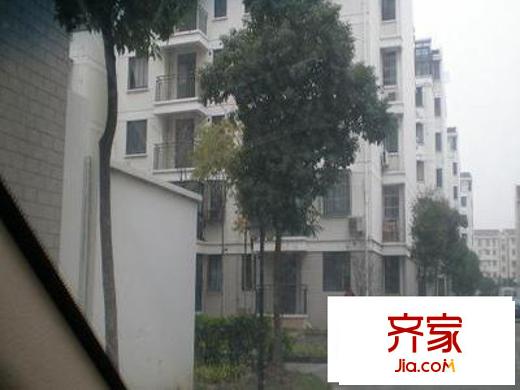 瀚龍?jiān)吠饩皥D上海  