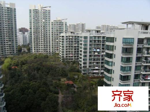 陸家嘴峰會外景圖 