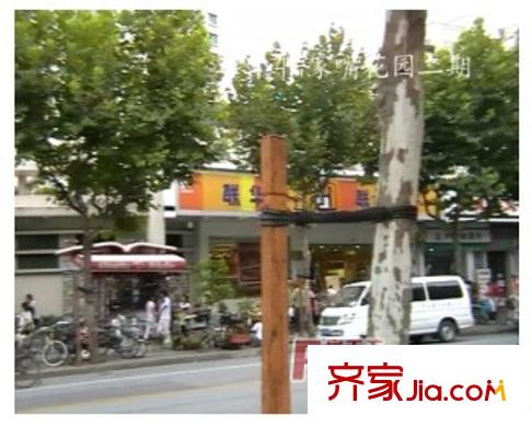 陸家嘴峰會(huì)配套圖周邊