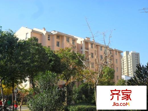 浦江丽都外景图