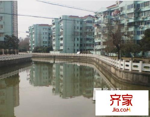 金楊四街坊外景圖