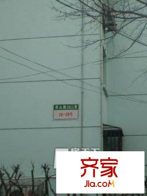 金楊四街坊