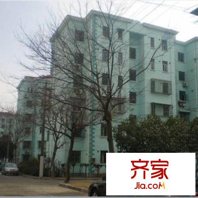 金楊四街坊外景圖
