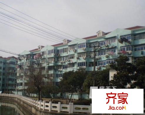 金楊四街坊外景圖