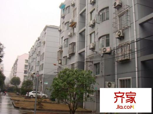 櫻花坊外景圖 