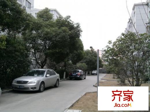 櫻花坊外景圖 