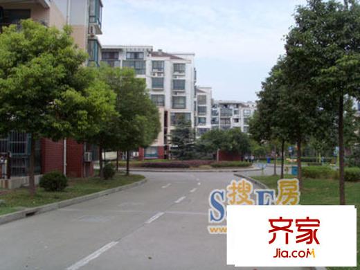 鑫唐佳苑外景圖上海  