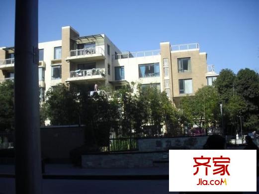 魅力之城外景图