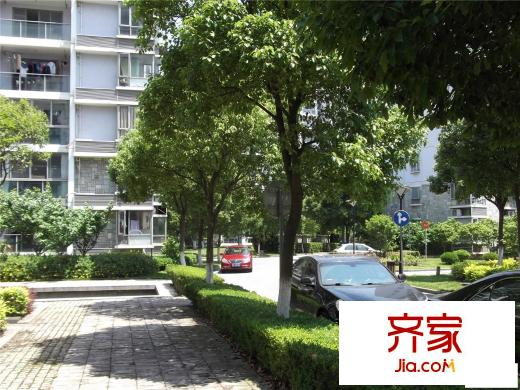 絕對城市外景圖 