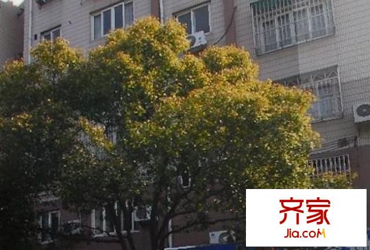 金廈苑外景圖 