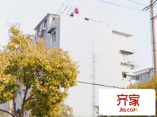 周東二村外景圖  