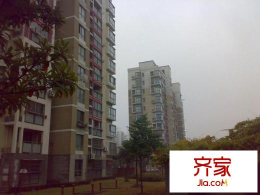 浦江世博家园八街坊外景图