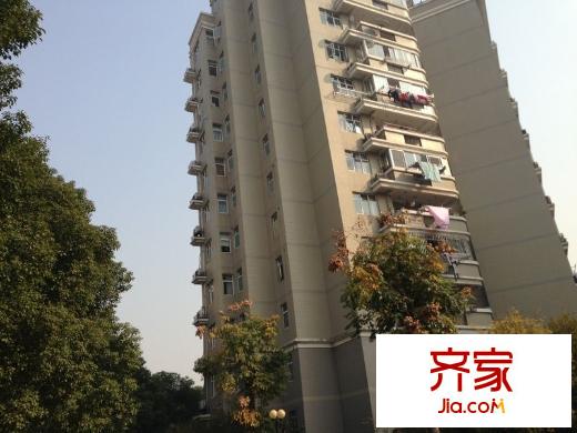 上海莘城外景图
