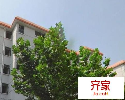 金菊小区外景图上海