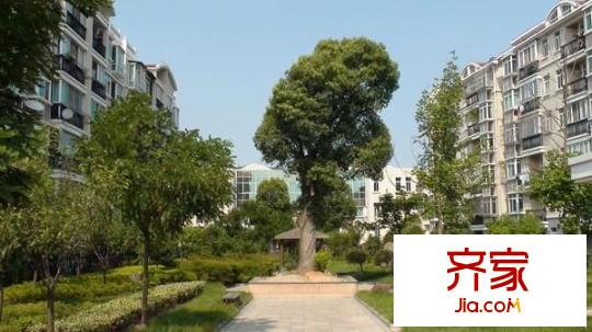 凌兆丁香苑外景圖 