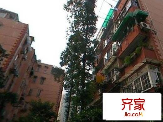 杜家宅小区外景图绿化图