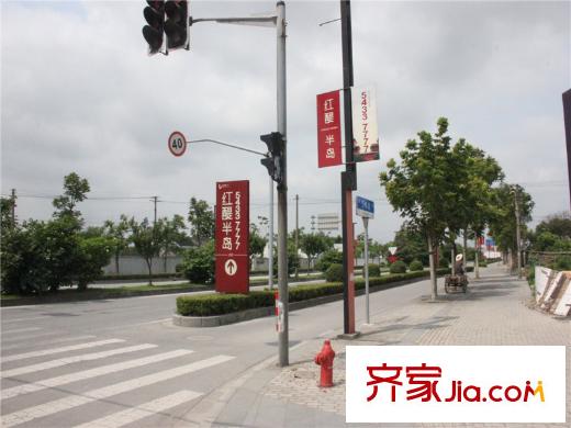 陆家嘴红醍半岛周边-周边道路