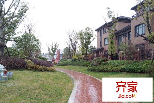陆家嘴红醍半岛建筑(2015.3)