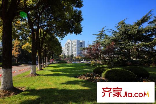 古北名都城三期周边配套公共绿地