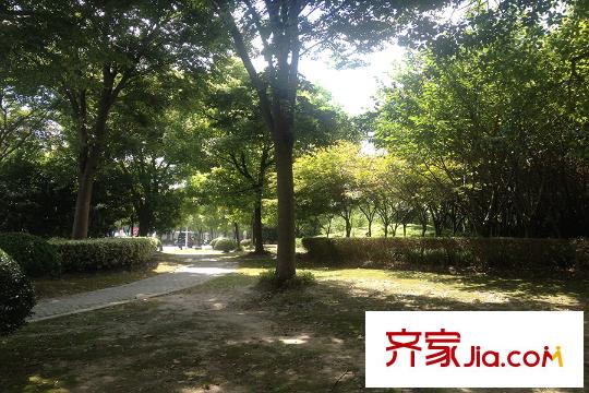 地產(chǎn)尚海酈景周邊-桃李路