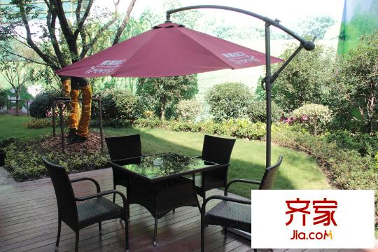紫菁庭綠化景觀圖（2015.3）