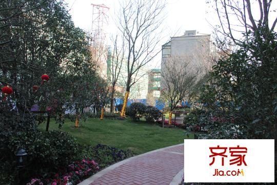 紫菁庭園林景觀圖（2015.3）
