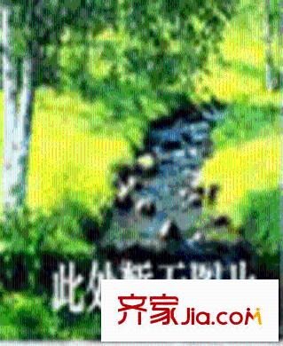 上房金豐苑戶型圖2室2廳1衛(wèi)1廚