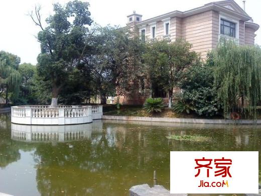 金色維也納外景圖 
