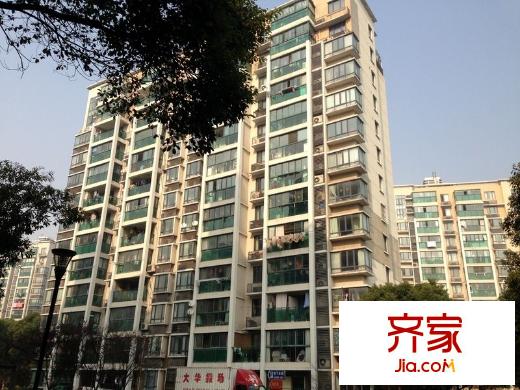 玫瑰99外景图