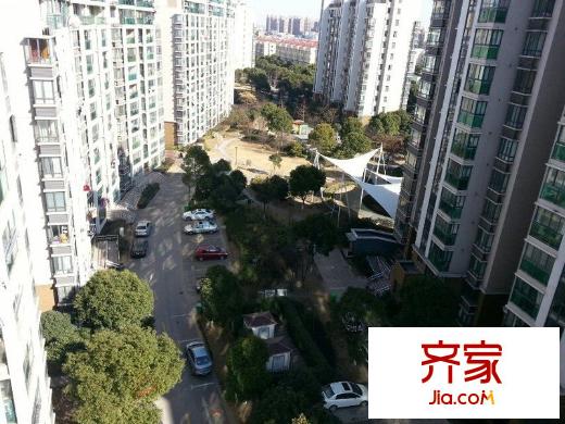 玫瑰99外景图