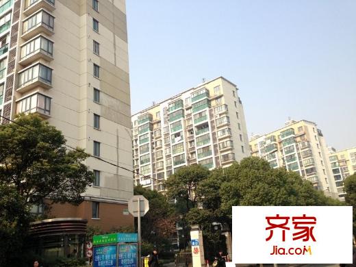 玫瑰99外景图