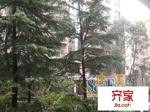 君悦花园外景图上海