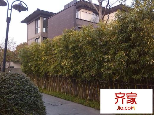 綠地上河院外景圖 