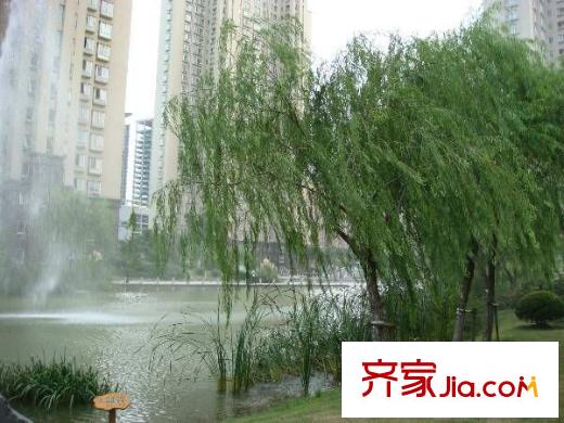 第九城市二期 3室 戶型圖