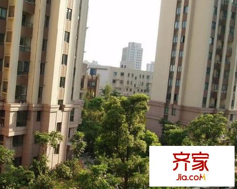 浦江映象外景圖