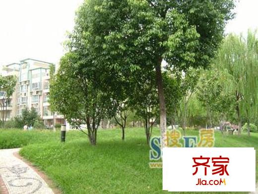 碧林湾北苑外景图