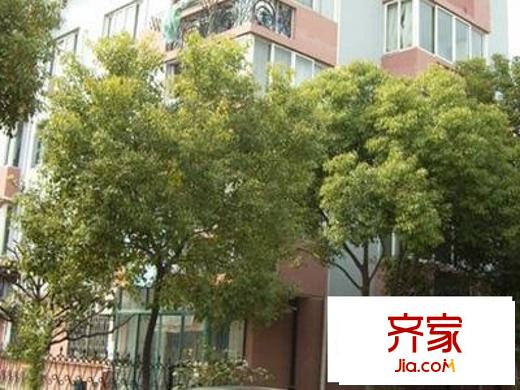 葡萄園新村外景圖 
