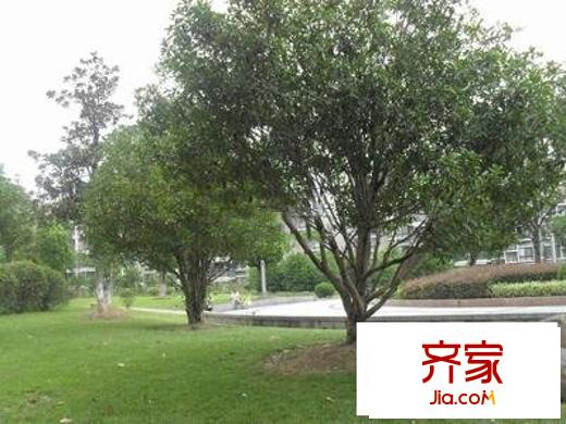 上大阳光乾静园外景图