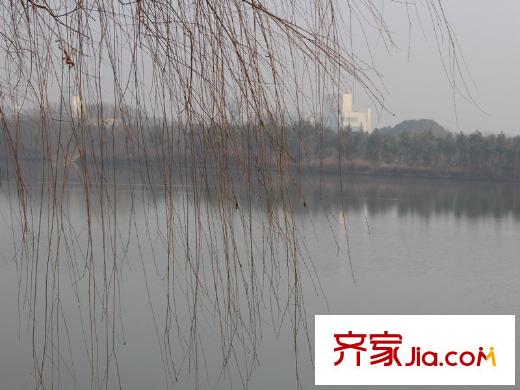 森林溪谷配套图周边河道