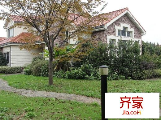 森林溪谷外景图