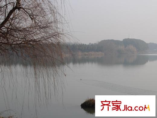 森林溪谷配套图周边河道