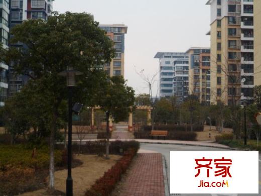 水清年华花园外景图