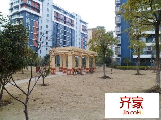 水清年华花园外景图