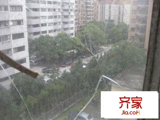 丁香大楼外景图