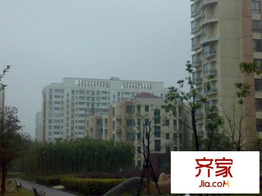 浦江世博家园十一街坊外景图